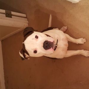 Meet your Posher, Terri